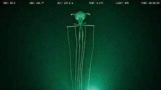The Most Unsettling Squid Ever Caught on Camera