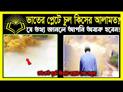 ভিডিও: শেষ প্লেটটি কিসের জন্য?