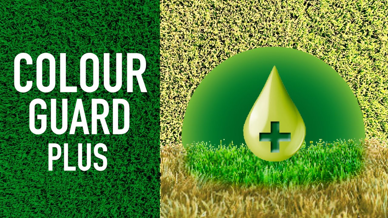 Do You Have the Need for Green? Green Grass Fast with ColourGuard Plus YouTube