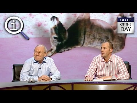 QI | What Can You Do With A Dead Donkey?
