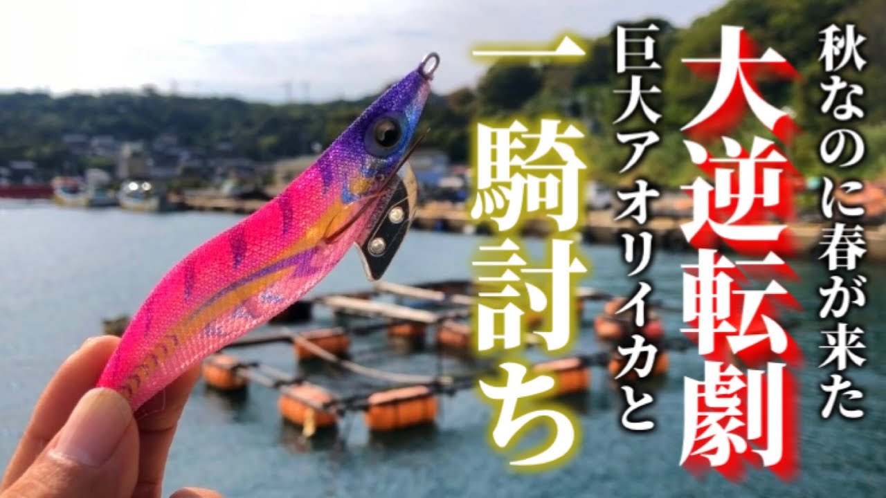 【エギング】漁港に置き去りにされて巨大アオリイカと一騎討ちするハメになった100万再生希望動画（エギ王K）（ムラムラチェリー ）