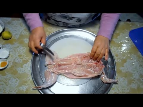 فيديو: كيف تطبخ أرنب لطفل