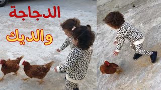 لحقوا الدجاج فيديو مضحك  !! |Funny  babies and chickens become the best friend