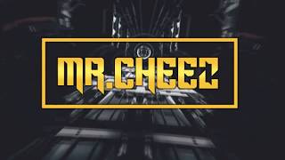 MR.CHEEZ @ IN THE MIX 2017 !!! (PROMO MIX)