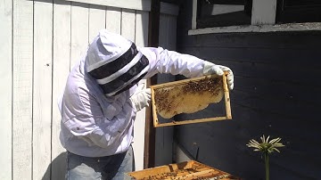 Foundationless Frame