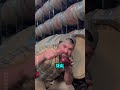 Why Expensive Wine Bottles Have Wax Seals 🍾
