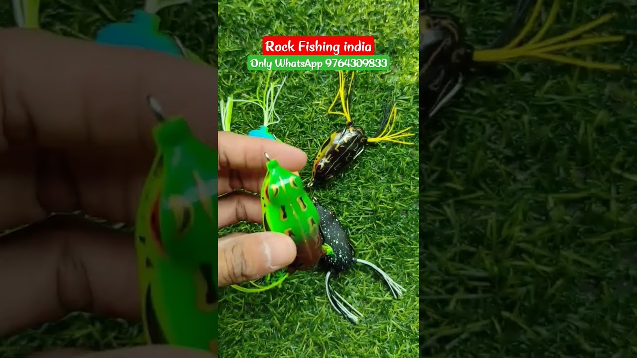 Soft Rubber Senshi Frog 18gm Lure For Snackhead 