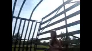 MOV01291.3GP