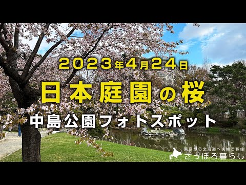 【北海道】日本庭園のしだれ桜は最高|札幌・中島公園フォトスポット hqdefault