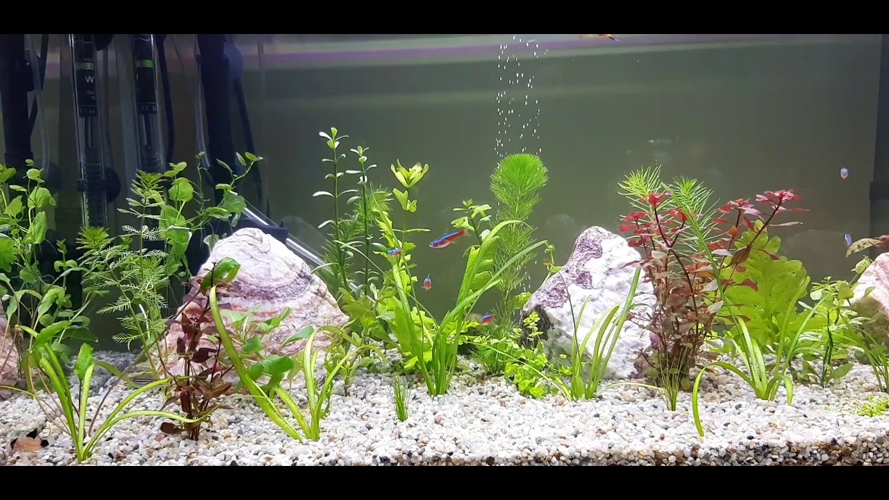 Nowe akwarium 112l Optiwhite