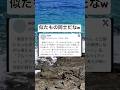 寝言は平和www #面白集 #面白い #寝言 #夫婦 #shorts
