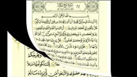 سليم ابو حاتم سورة نوح
