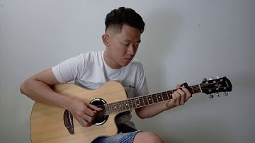 Lily - Alan Walker, K-391 & Emelie Hollow  (Fingerstyle Cover)