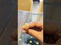 அழகான மோதிரங்கள் #ring#dailyuse rings#goldjewellery #gold