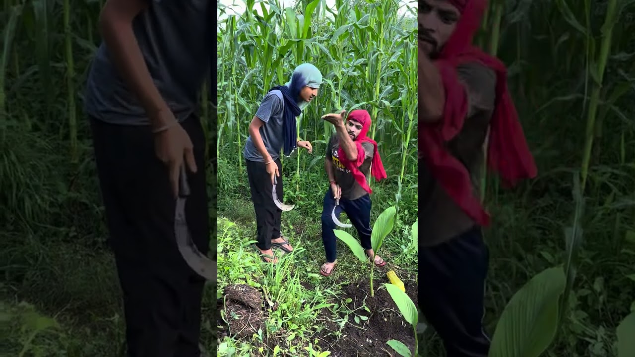 Beed rudi pi bobo bobo ladi pi || Himachalicomady