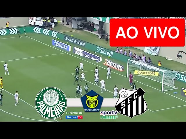 Assistir Palmeiras x Santos Ao Vivo Hoje 08/10/2023