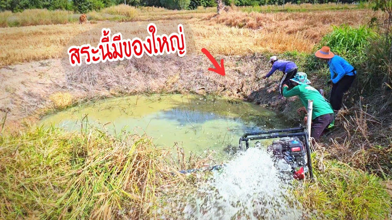 ได้เรื่องอีกแล้วสูบสระเล็กเจอแต่ของใหญ่และเยอะมากๆ สระอาวธวัชบ้านหนองไผ่