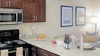 A renovated Lakeview 3-bedroom, 2-bath apartment with in-unit washer / dryer