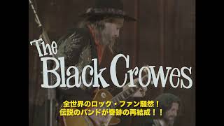 The Black Crowes - ウドー音楽事務所