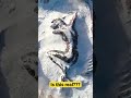 Real mountain formations?