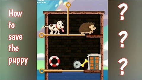 Save the puppy gameplay | Best puppy rescue game | Save the puppy walkthrough level 1 -10