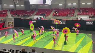 McKinney North HS Winterguard - NTCA State Championships 