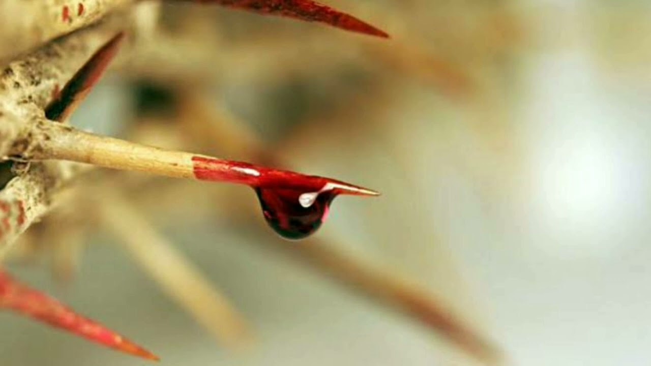 John Pantry - Strong Love (Tradução)