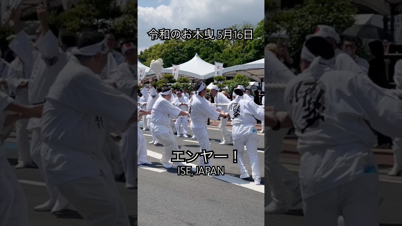 令和8年5月16日・お木曳(陸曳) Working together to haul logs to Ise Jingū #shorts #伊勢神宮 #ise