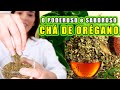 Consuma esse CHÁ para EMAGRECER e Melhorar a Pele e a Saúde