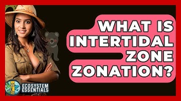 What Is Intertidal Zone Zonation? - Ecosystem Essentials