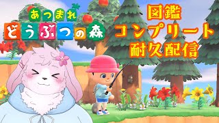 【あつまれ どうぶつの森】図鑑コンプまで秒読み！耐久するぞ！！！【#ケモノVtuber】
