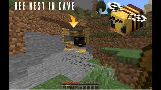 MİNECRAFT Bee Nest In Cave  | Bee Nest Attack