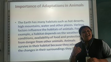 GSEB EM STD 4 SCIENCE CH 3 ADAPTATION IN ANIMALS