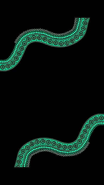 Watch one of my latest digital art pieces come together 🥰 #culture #digital #aboriginal #art #artist