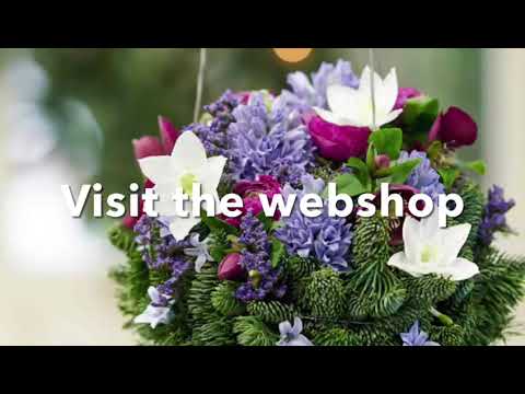 Hilverda De Boer -  X-Mas Greens