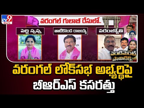 వరంగల్ లోక్ సభ అభ్యర్థి పై బీఆర్ఎస్ కసరత్తు - TV9