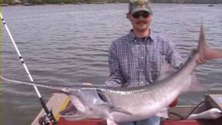 snagging spoonbill paddlefish lake ozarks
