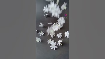 Thumbnail of Paper Jasmine #crepepaperflower #flower #paperflowers #handmade #paperart #nature #papercraft