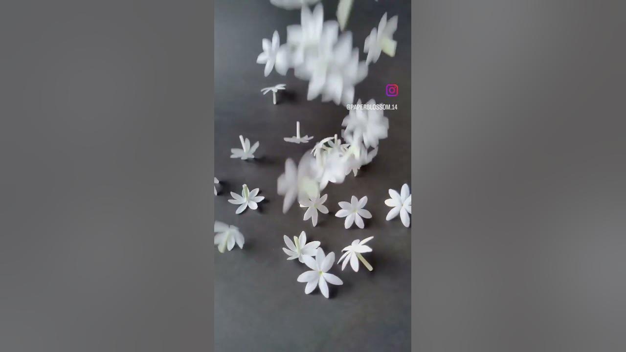Paper Jasmine #crepepaperflower #flower #paperflowers #handmade #paperart #nature #papercraft