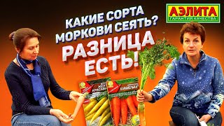 ВЫ ПРОСИЛИ – МЫ ОТВЕЧАЕМ: Какие Сорта Моркови Сеять? Лучшие Семена Моркови