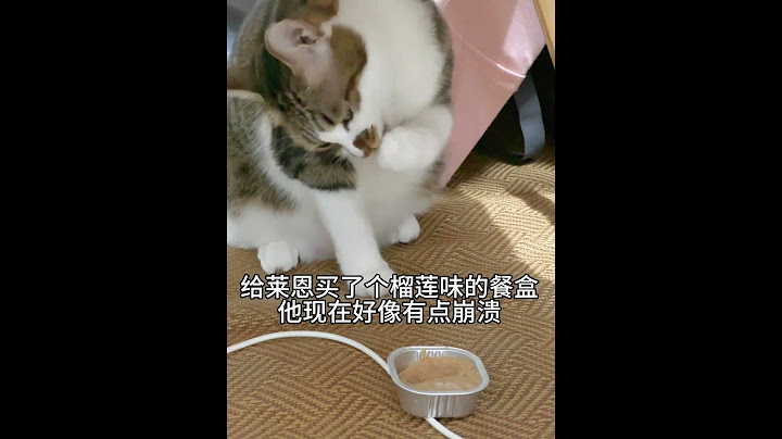 #这猫怎么鼠里鼠气的 #猫：你什么意思 #猫粮