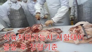 돈처리 정형하기 기준 식육처리기능사 실기 시험 강습 김재문 교수
