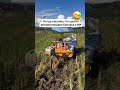 27 мая 2025 г 27 мая 2025 г