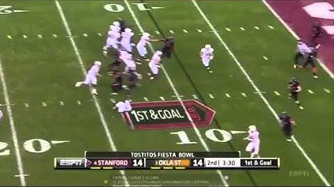 Stanford Spider Pass- X&O Labs