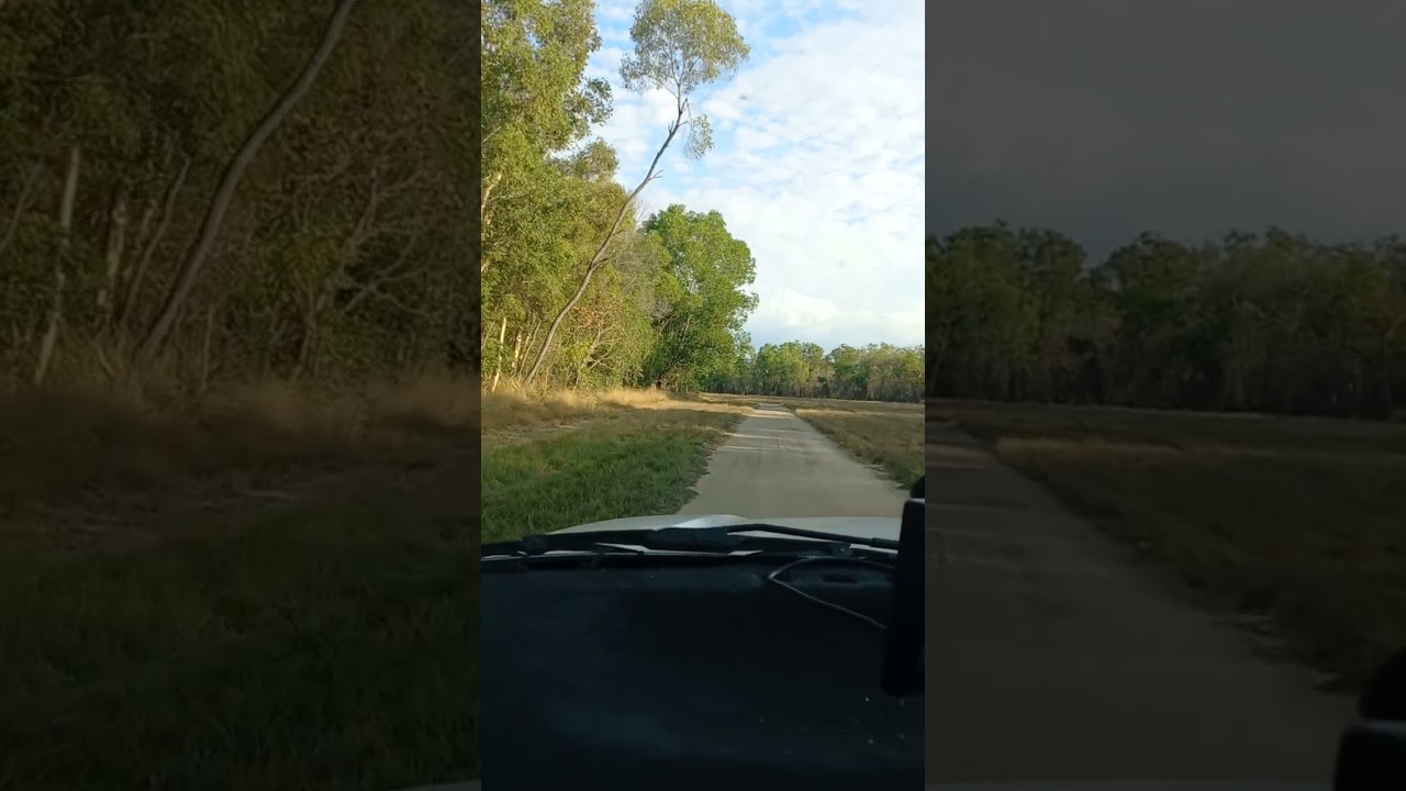 points Stuart's Australia 🇦🇺