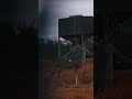beautiful deer didn't have idea 🥵🦌💨 #huntinglife #deer #animals #bigbuck #whitetail #archeryshot