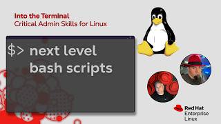 Take your bash scripts to the next level  | Into the Terminal 203