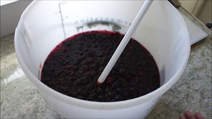 How To Make Blackberry Wine at Home!
