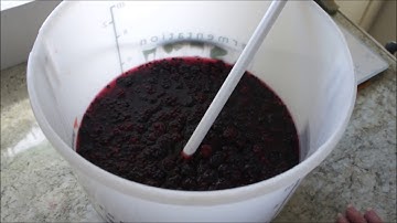 How To Make Blackberry Wine at Home!