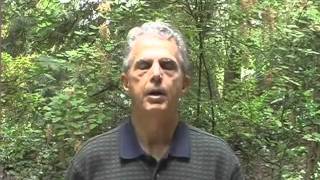 Digital Logic Design - Past, Present, and Future - Intro